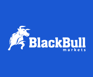 What is BlackBull Markets?